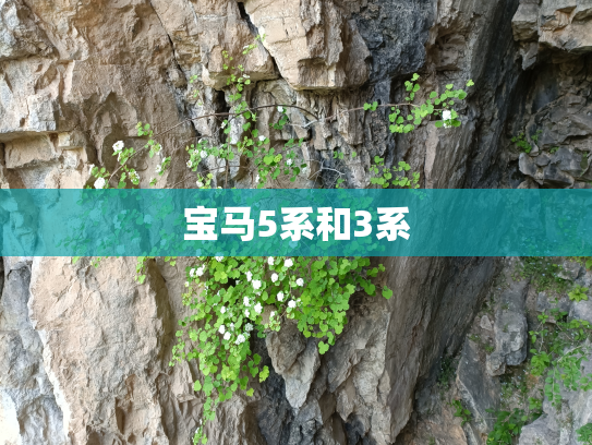 宝马5系和3系