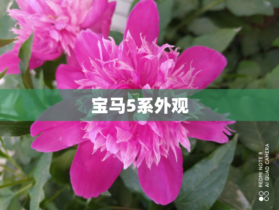 宝马5系外观
