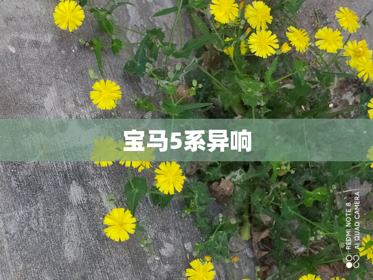 宝马5系异响