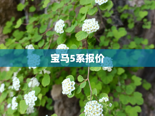 宝马5系报价
