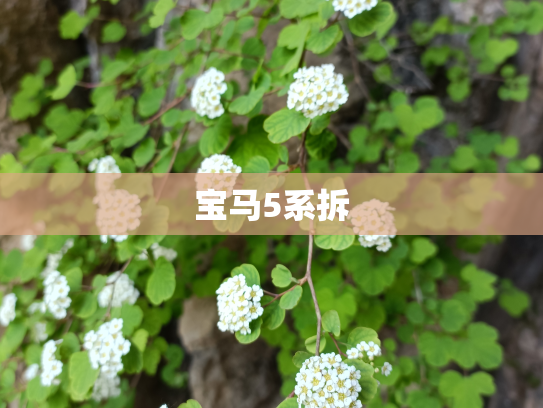 宝马5系拆