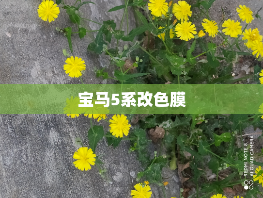 宝马5系改色膜
