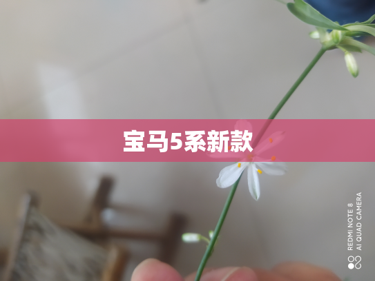 宝马5系新款