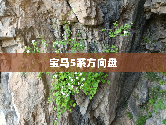 宝马5系方向盘