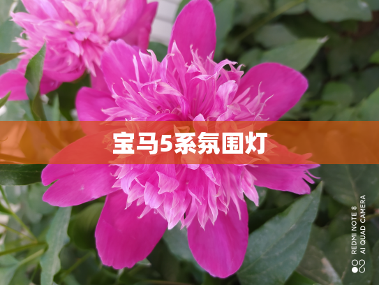 宝马5系氛围灯