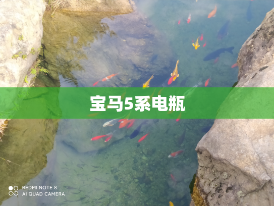宝马5系电瓶