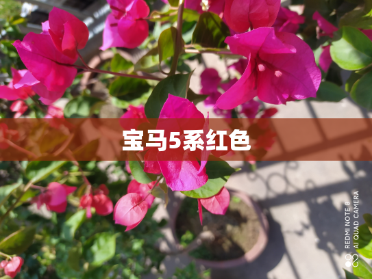 宝马5系红色