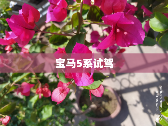宝马5系试驾