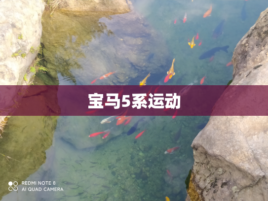 宝马5系运动