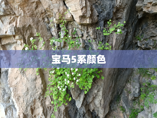 宝马5系颜色