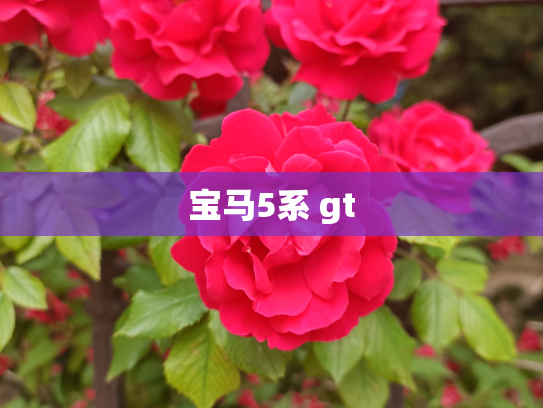 宝马5系 gt