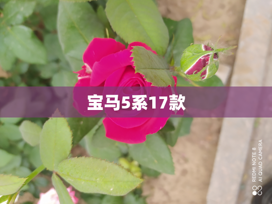 宝马5系17款
