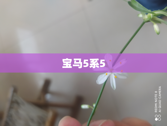 宝马5系5