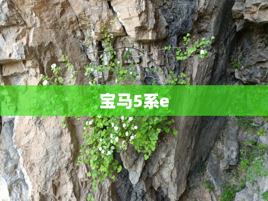 宝马5系e