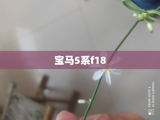 宝马5系f18