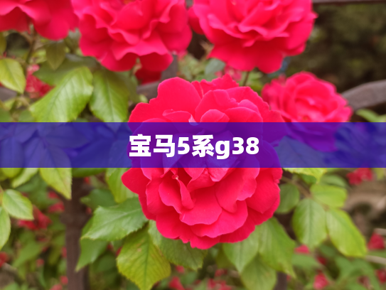 宝马5系g38