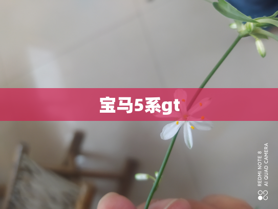 宝马5系gt