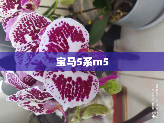 宝马5系m5