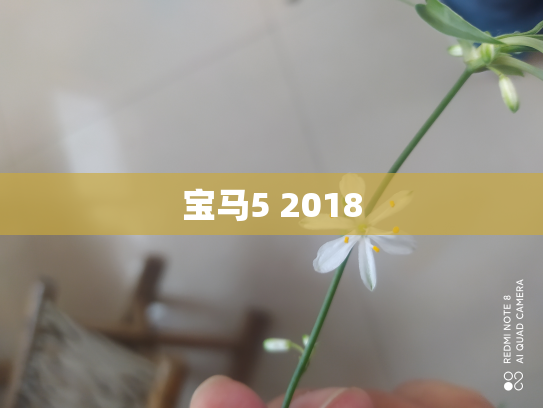 宝马5 2018