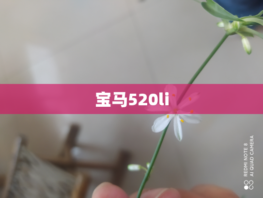 宝马520li