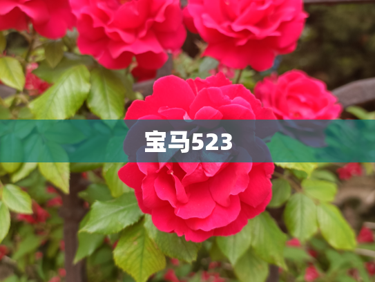 宝马523