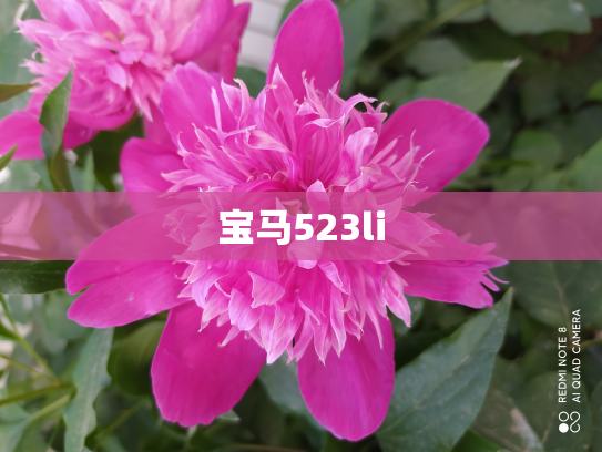 宝马523li