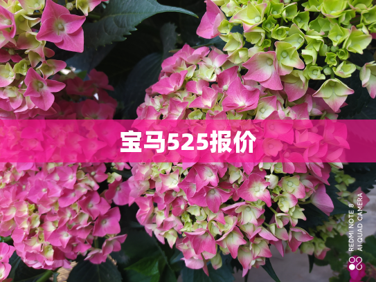 宝马525报价