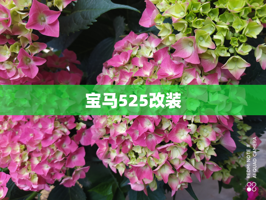 宝马525改装