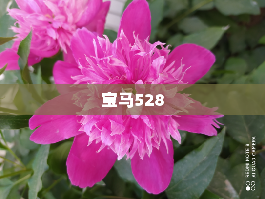 宝马528