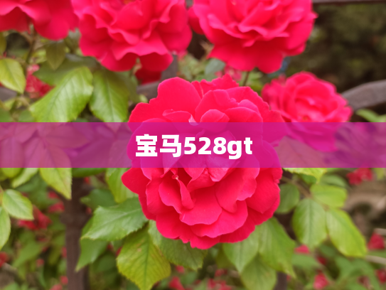 宝马528gt