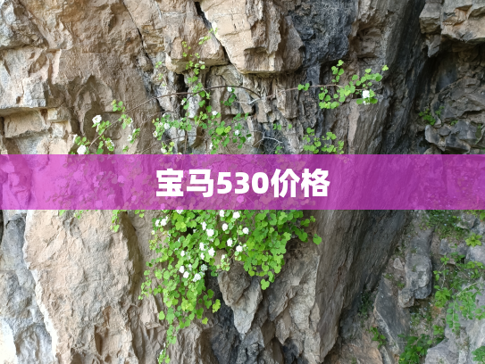 宝马530价格