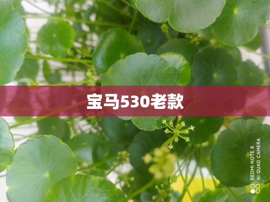 宝马530老款