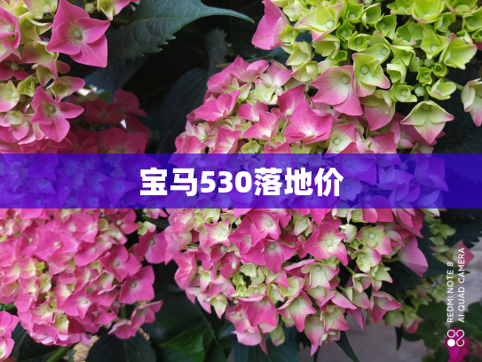 宝马530落地价