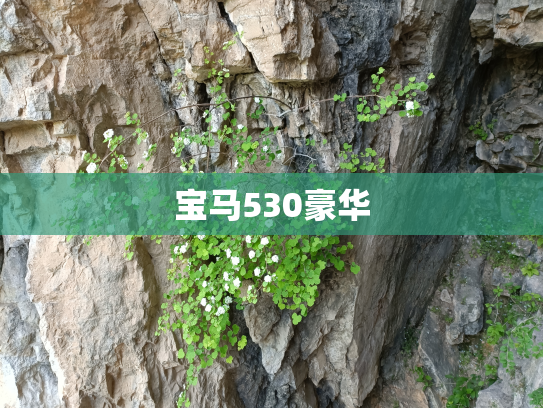 宝马530豪华
