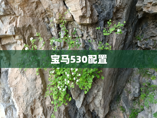 宝马530配置