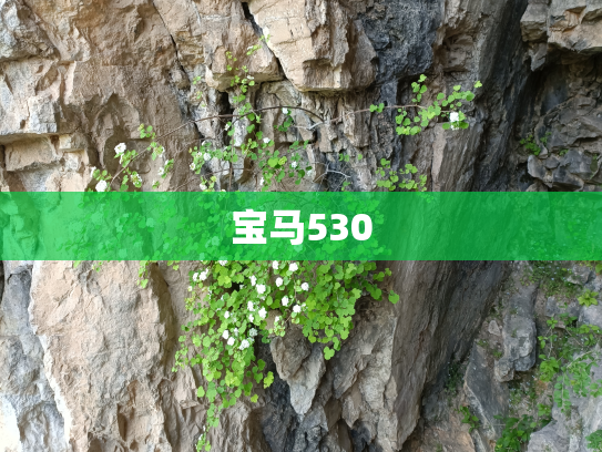宝马530