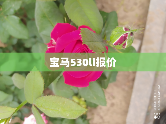 宝马530li报价