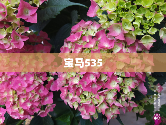 宝马535