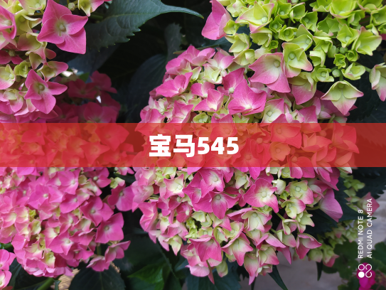 宝马545