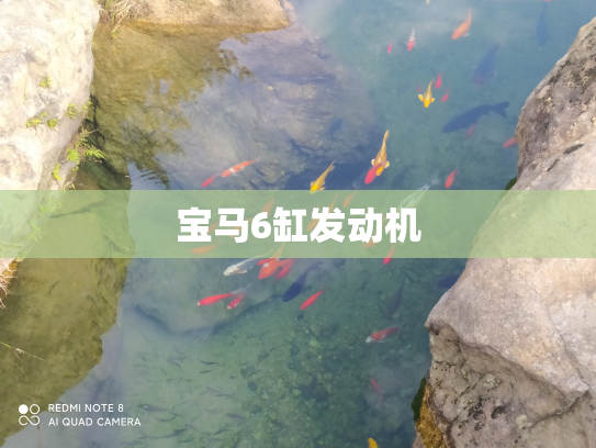 宝马6缸发动机