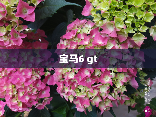 宝马6 gt
