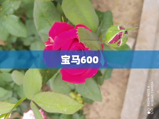 宝马600