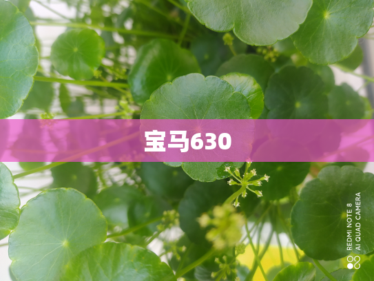 宝马630