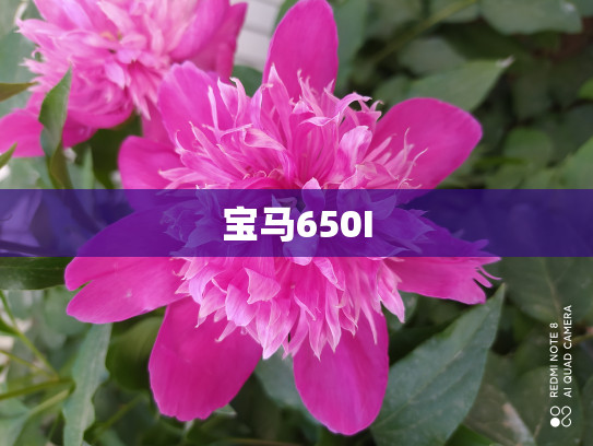 宝马650I