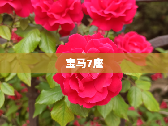 宝马7座