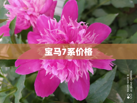 宝马7系价格