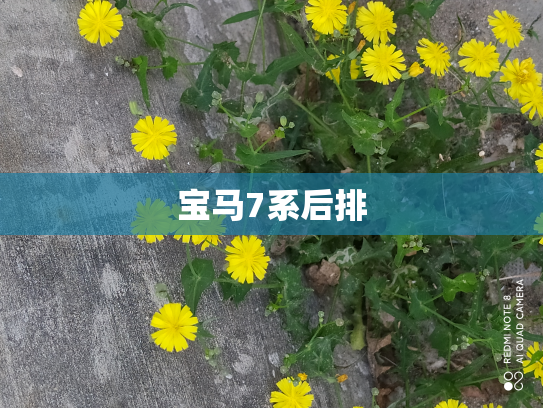 宝马7系后排