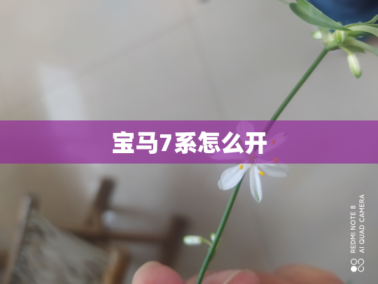 宝马7系怎么开