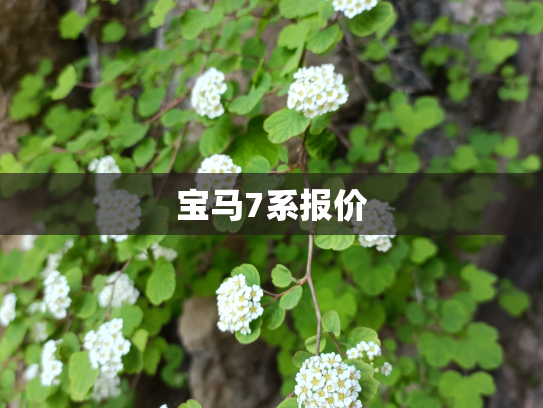 宝马7系报价