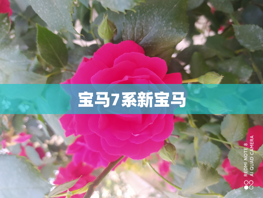 宝马7系新宝马